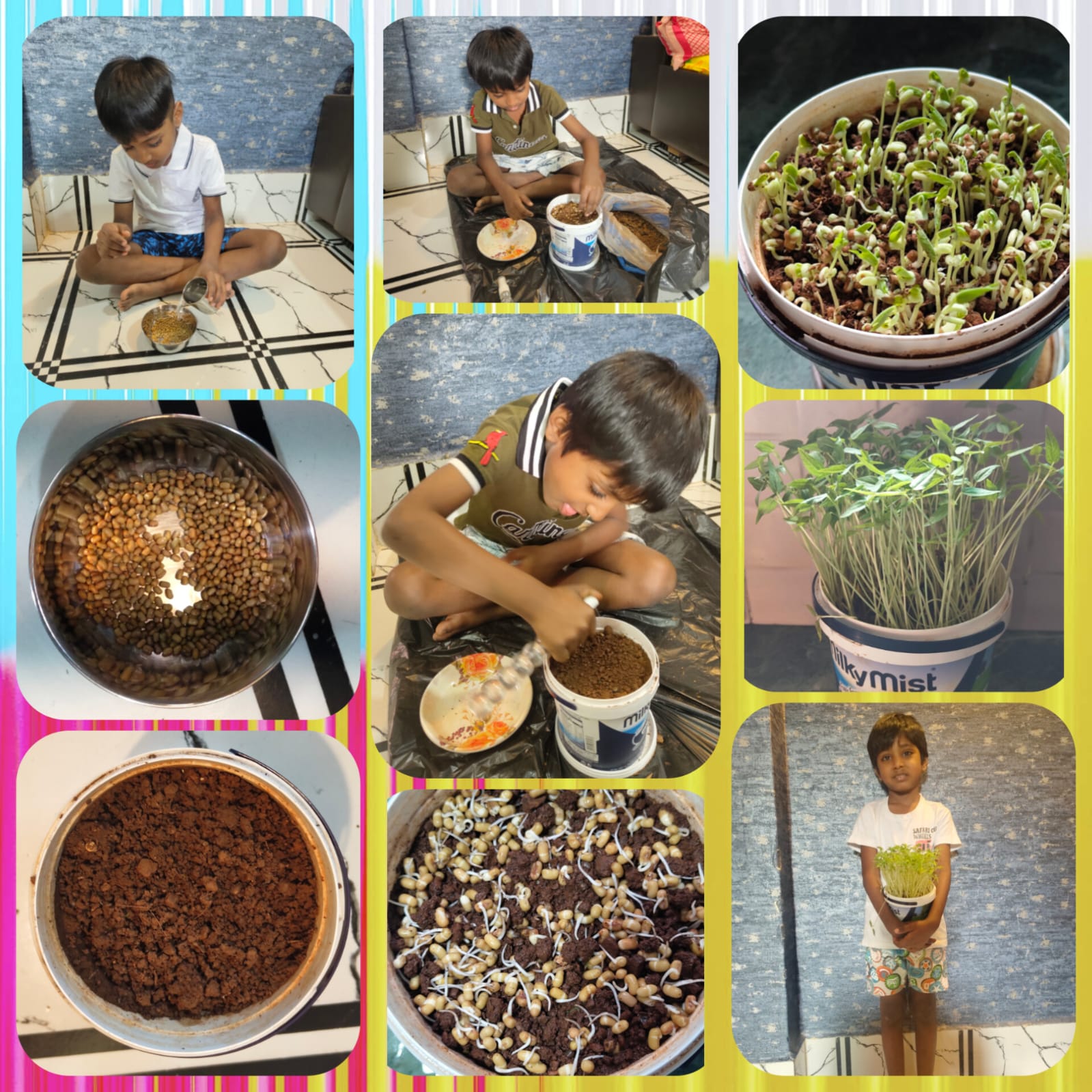 Sr. KG – Plant a Seed Activity 🌱